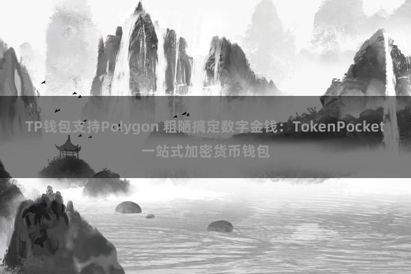 TP钱包支持Polygon 粗陋搞定数字金钱：TokenPocket一站式加密货币钱包