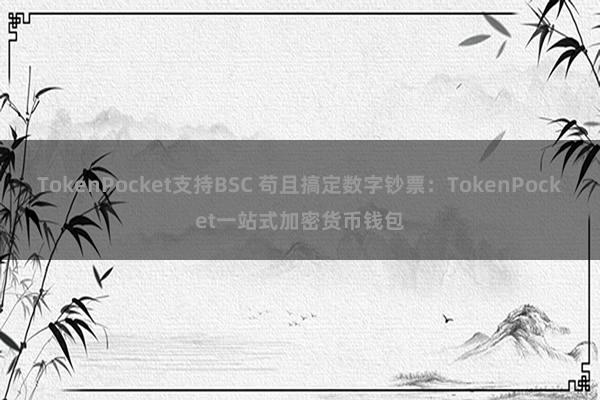 TokenPocket支持BSC 苟且搞定数字钞票：TokenPocket一站式加密货币钱包